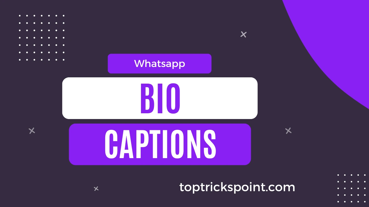 Whatsapp Bio and Captions
