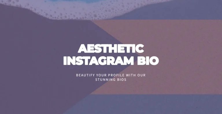 70+ Best Aesthetic Instagram Bio